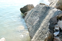 Compass rock falling into the lake. Chicago lakefront stone carvings, behind La Rabida Hospital, 65th Street and the Lake. 2021