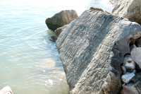 Compass rock falling into the lake. Chicago lakefront stone carvings, behind La Rabida Hospital, 65th Street and the Lake. 2021 Compass rock falling into the lake. Chicago lakefront stone carvings, behind La Rabida Hospital, 65th Street and the Lake. 2021