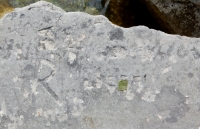 R, Jeff, WI, LL, JED. Chicago lakefront stone carvings, behind La Rabida Hospital, 65th Street and the Lake. 2018