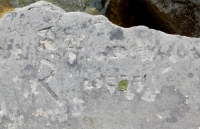 R, Jeff, WI, LL, JED. Chicago lakefront stone carvings, behind La Rabida Hospital, 65th Street and the Lake. 2018 R, Jeff, WI, LL, JED. Chicago lakefront stone carvings, behind La Rabida Hospital, 65th Street and the Lake. 2018