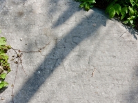 Sully, Gus, Jack. Chicago lakefront stone carvings, behind La Rabida Hospital, 65th Street and the Lake. 2018