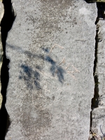 Cuz n. Freshly cut. Chicago lakefront stone carvings, behind La Rabida Hospital, 65th Street and the Lake. 2018 Cuz n. Freshly cut. Chicago lakefront stone carvings, behind La Rabida Hospital, 65th Street and the Lake. 2018