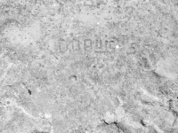 Dupuis SE. Chicago lakefront stone carvings, behind La Rabida Hospital, 65th Street and the Lake. 2018 Dupuis SE. Chicago lakefront stone carvings, behind La Rabida Hospital, 65th Street and the Lake. 2018