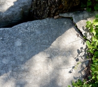 Tom. Chicago lakefront stone carvings, behind La Rabida Hospital, 65th Street and the Lake. 2018