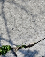 Stylized letters. Chicago lakefront stone carvings, behind La Rabida Hospital, 65th Street and the Lake. 2018