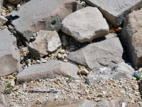 Peace rock and double hearts (center) along with other carvings, and rubble, as the lake and the weather take their toll. Chicago lakefront stone carvings, behind La Rabida Hospital, 65th Street and the Lake. 2023 Peace rock and double hearts (center) along with other carvings, and rubble, as the lake and the weather take their toll. Chicago lakefront stone carvings, behind La Rabida Hospital, 65th Street and the Lake. 2023