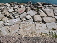 Peace rock and double hearts (center) along with many other carvings, and rubble, as the lake and the weather take their toll. Chicago lakefront stone carvings, behind La Rabida Hospital, 65th Street and the Lake. 2023