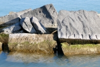 Tom Dablin, The Arrows, H (left side), DJ, WJHMBX, Tim. Chicago lakefront stone carvings, south of La Rabida Hospital. 2021