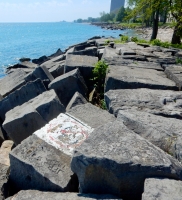 Chicago lakefront stone carvings, behind La Rabida Hospital, 65th Street and the Lake. 2018