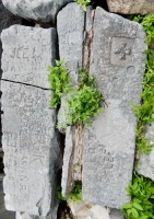 Pair of heavily carved rocks, including a Maltese Cross. Chicago lakefront stone carvings, behind La Rabida Hospital, 65th Street and the Lake. 2018