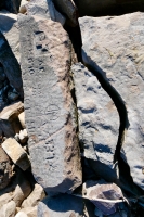 Maltese Cross, JM, Lee and others, damaged. Chicago lakefront stone carvings, behind La Rabida Hospital, 65th Street and the Lake. 2021