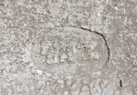 TAZ, detail. Chicago lakefront stone carvings, behind La Rabida Hospital, 65th Street and the Lake. 2018 TAZ, detail. Chicago lakefront stone carvings, behind La Rabida Hospital, 65th Street and the Lake. 2018
