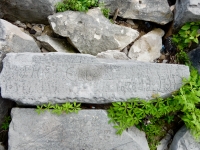 The Ella Club, 9-16-78. Chicago lakefront stone carvings, behind La Rabida Hospital, 65th Street and the Lake. 2018