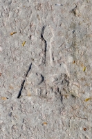 Abstract figure, possibly a person. Chicago lakefront stone carvings, behind La Rabida Hospital, 65th Street and the Lake. 2021