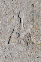 Abstract figure, possibly a person. Chicago lakefront stone carvings, behind La Rabida Hospital, 65th Street and the Lake. 2021 Abstract figure, possibly a person. Chicago lakefront stone carvings, behind La Rabida Hospital, 65th Street and the Lake. 2021