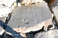 Moths, Eddie, Quinn, WT, others. Chicago lakefront stone carvings, behind La Rabida Hospital, 65th Street and the Lake. 2021