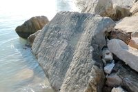 Compass rock falling into the lake. Chicago lakefront stone carvings, behind La Rabida Hospital, 65th Street and the Lake. 2021