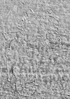 Mesoamerican carving, probably unfinished. Chicago lakefront stone carvings near Foster Avenue Beach. 2013 Mesoamerican carving, probably unfinished. Chicago lakefront stone carvings near Foster Avenue Beach. 2013