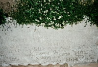 4/6/61. Otto, Doc and many others. A magnificent autograph rock near the northern end of Foster Avenue Beach. One signature attracts manyothers. Chicago Lakefront stone carvings. Before 2003