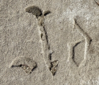 Ad, detail. Chicago lakefront stone carvings, between Belmont and Diversey Harbors. 2015