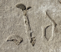 Ad, detail. Chicago lakefront stone carvings, between Belmont and Diversey Harbors. 2015 Ad, detail. Chicago lakefront stone carvings, between Belmont and Diversey Harbors. 2015