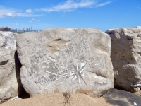 Autograph rock: Ace, Buck Nason, Bill, Bob, others, 98. Chicago lakefront stone carvings, Oakwood Beach. 2019