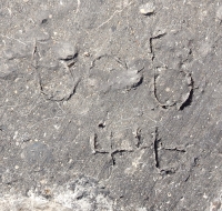 Bob 44, detail. Chicago lakefront stone carvings, between Foster Avenue and Montrose. 2017