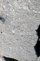 Paul T, RAF + TED, Bob. Chicago lakefront stone carvings, Rainbow Beach. 2021