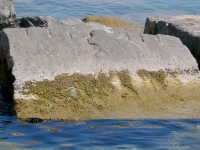 Bob Dorner, detail. Chicago lakefront stone carvings, south of La Rabida Hospital, 65th Street and the Lake. 2023