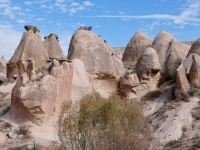 Some classic Cappadocian fairy chimneys/hoodoos.