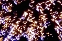 White shapes flaring out fireworks closeup