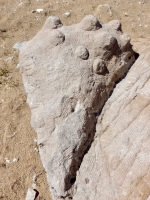 Mermaid, sea shell detail. Chicago lakefront stone carvings, originally at 39th Street, saved and relocated to Oakwood Beach. 2019