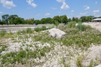 Toppled mermaid. Chicago lakefront stone carvings, Oakwood Beach. 2021