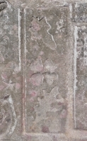 Clover with oak leaves, from 12-panel carving. Chicago Lakefront stone carvings, south of La Rabida Hospital. 2023