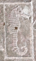 Sea horse, from 12-panel carving. Chicago Lakefront stone carvings, south of La Rabida Hospital. 2022