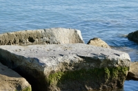 Indecipherable. Chicago lakefront stone carvings, south of La Rabida Hospital. 2021