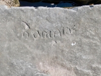 Romaine, detail. Chicago lakefront stone carvings, south of La Rabida Hospital, 65th Street and the Lake. 2023