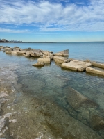 Elaborate carving of a creature. Chicago Lakefront stone carvings, south of La Rabida Hospital. 2024