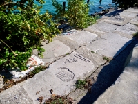 Profile, cactus and symbols. Lost. Chicago lakefront stone carvings, south of Montrose Harbor. 2008