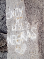 Cindy N Leslie Negras. Lost. Chicago lakefront stone carvings, south of Montrose Harbor. 2008