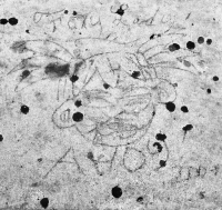 Foxy Lady, Ahoy. Lost. Chicago lakefront stone carvings, south of Montrose Harbor. 2008