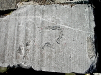 Dog. Lost. Chicago lakefront stone carvings, south of Montrose Harbor. 2013