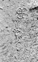 Flower and clover. Aron Packer photo. Chicago lakefront stone carvings, Montrose Harbor.