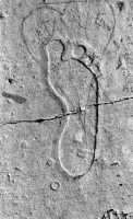 Foot. Aron Packer photo. Chicago lakefront stone carvings, Montrose Harbor.