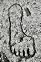 Foot. Aron Packer photo. Chicago lakefront stone carvings, Montrose Harbor.