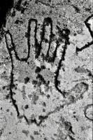 Hand. Aron Packer photo. Chicago lakefront stone carvings, Montrose Harbor.