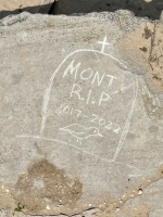 Tribute to Monty the piping plover, 2017-22, with tombstone and bird image. Now vanished. Chicago Lakefront stone drawings, Montrose Beach. 2022 Tribute to Monty the piping plover, 2017-22, with tombstone and bird image. Now vanished. Chicago Lakefront stone drawings, Montrose Beach. 2022