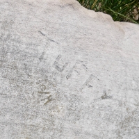 Tuffy 10/14 detail. Chicago lakefront stone carvings, Montrose Point. 2022 Tuffy 10/14 detail. Chicago lakefront stone carvings, Montrose Point. 2022