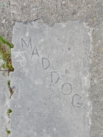 Maddog, KP, level 3. Lakefront stone carvings, near Montrose Beach. 2019 Maddog, KP, level 3. Lakefront stone carvings, near Montrose Beach. 2019