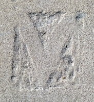 V. Chicago lakefront stone carvings, south of Montrose Harbor. 2008 V. Chicago lakefront stone carvings, south of Montrose Harbor. 2008
